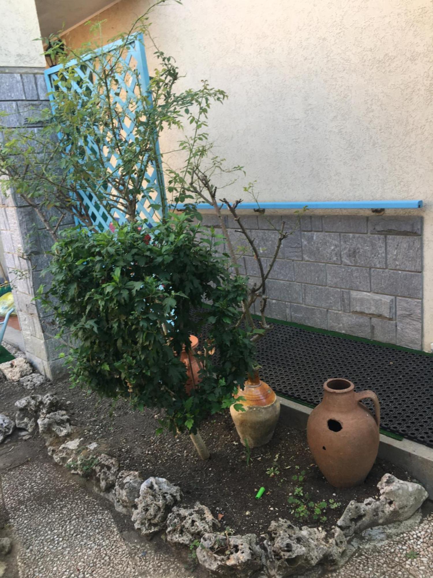 Apartamento Lerosedimiamamma Cassine Exterior foto